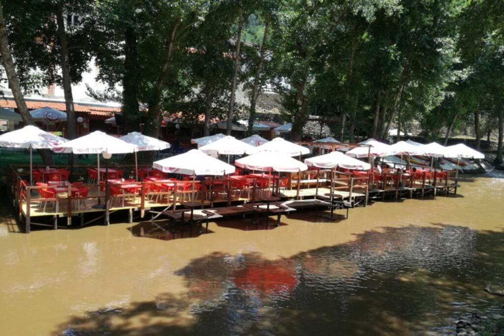 Casinha Dos Figueirais Villa Góis Exteriör bild